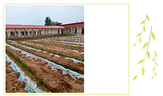 企业微信截图_17464964046679