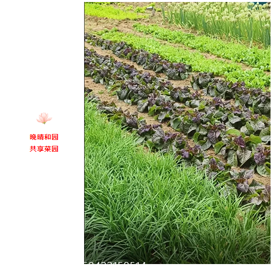 企业微信截图_17464964187644