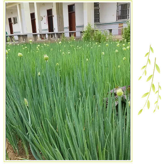 企业微信截图_17464964291931