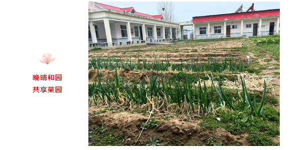 企业微信截图_174649643886