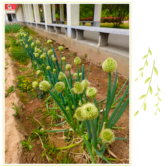 企业微信截图_17464964489760